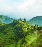 MD HABIB HASAN