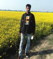 Md Shamim Al Mamun